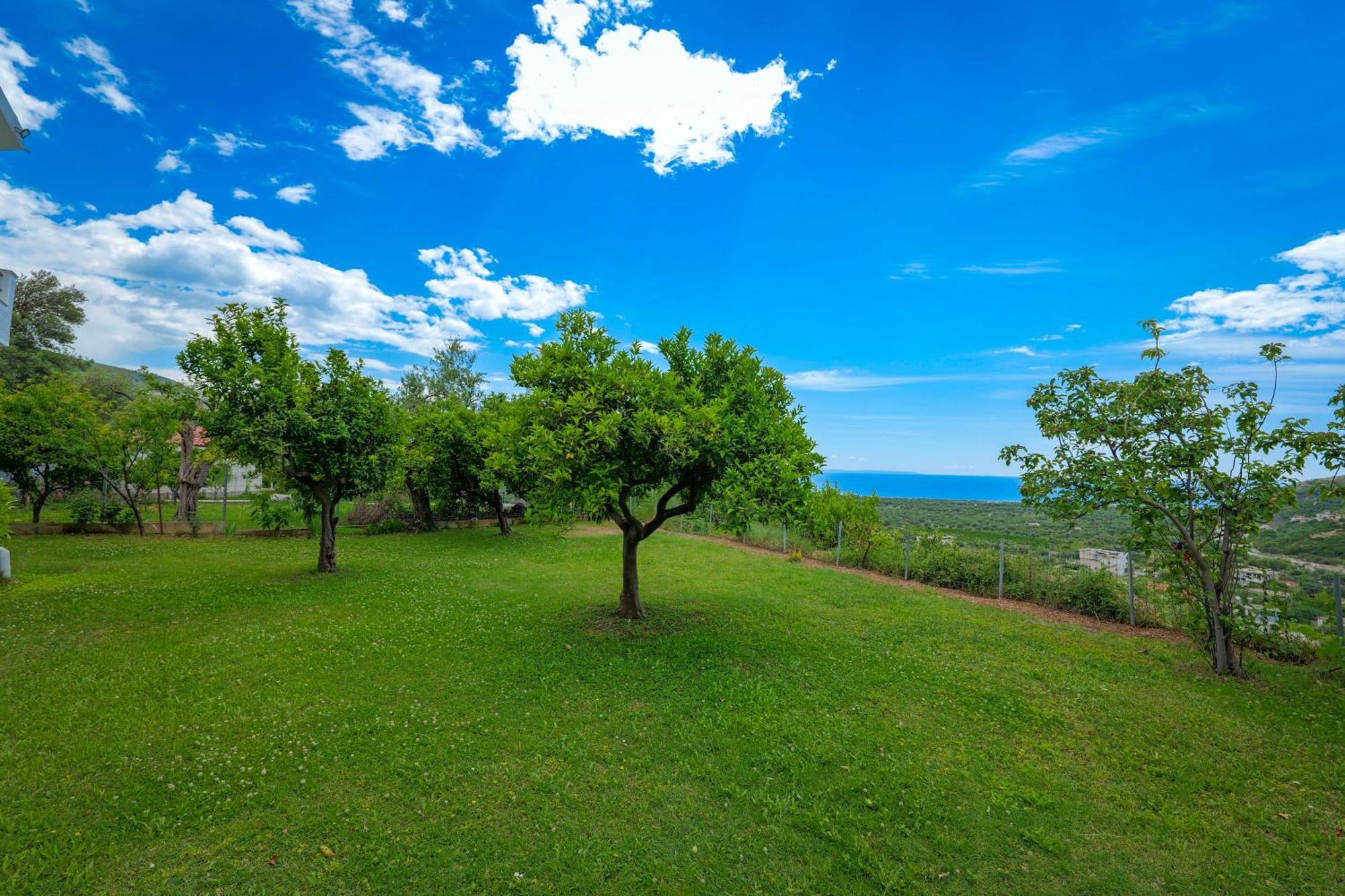 Villa Pargua Borsh Esterno foto